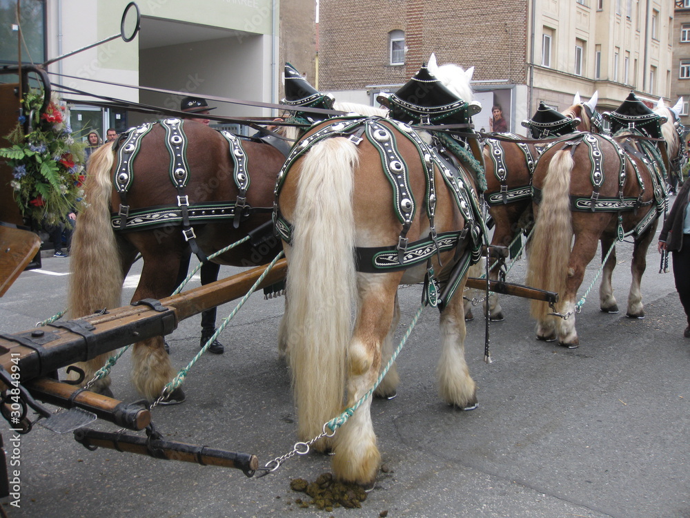 Pferdegespann beim Fürther Erntedankfestzug Pferdegespann beim Fürther Erntedankfestzug