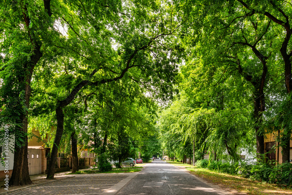 Kikinda, Serbia - July 26, 2019: General Drapsin Street in Kikinda, Serbia, one of the 50 most beautiful streets in the world with trees and flowers