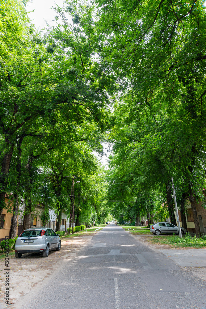Kikinda, Serbia - July 26, 2019: General Drapsin Street in Kikinda, Serbia, one of the 50 most beautiful streets in the world with trees and flowers