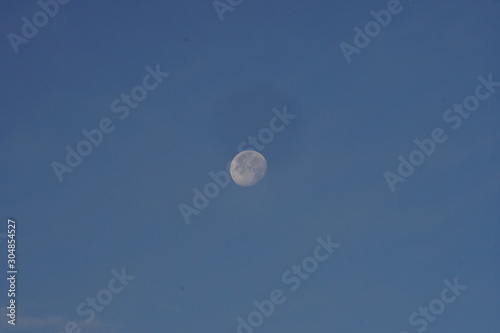 moonn on blue sky whith seagull flying luna sobre cielo azul con gaviota photo