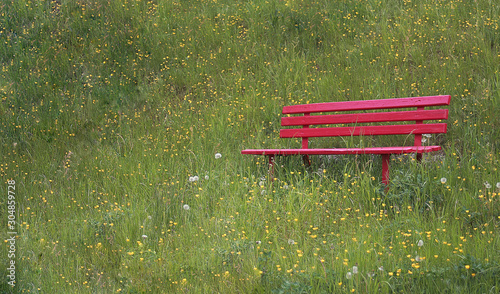 relaxing red bench in fron of green grass