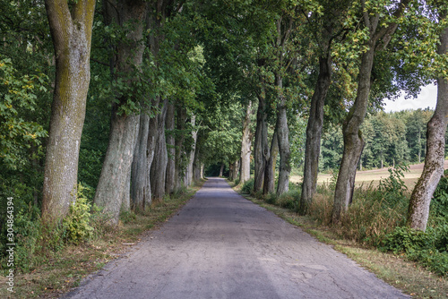Country lane near Zajaczki, small village near Ostroda town in Poland