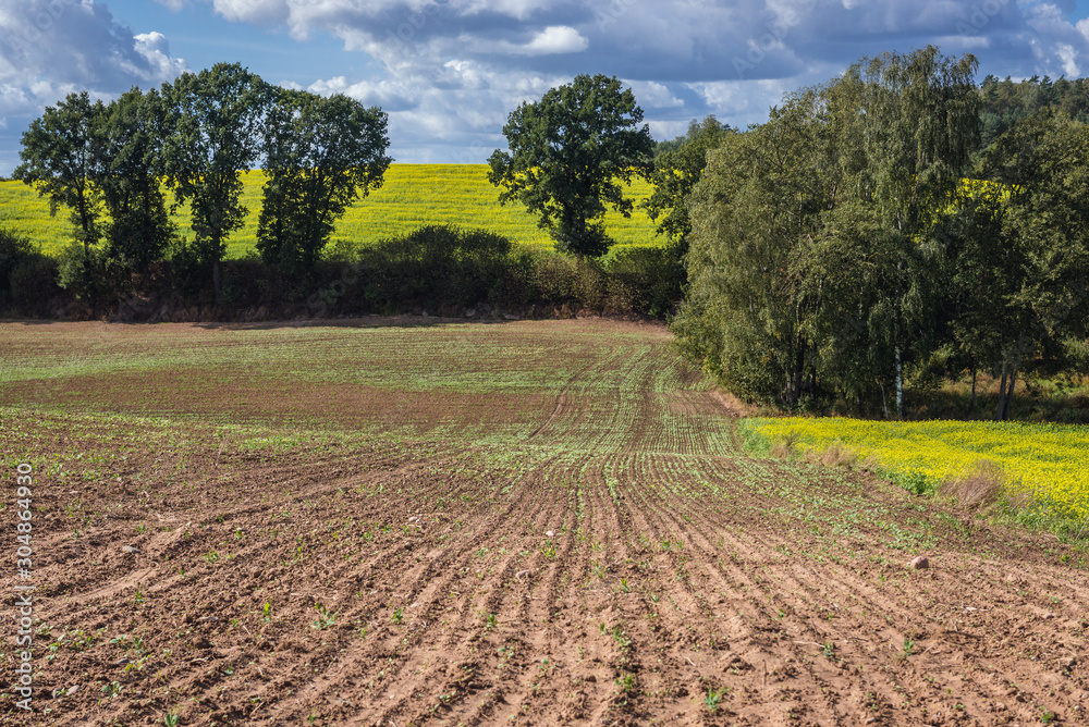 Rural landscape on the border of Ostroda and Ilawa counties, Masuria region in Poland