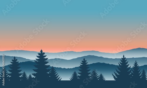 Forest view landscape. Horizon colorful on mountain at fog. © kaew