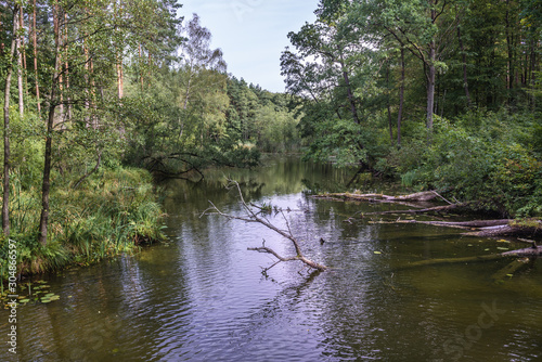 Fototapeta Naklejka Na Ścianę i Meble -  Lake Kurzyny water channel in Brodnica Landscape Park in the area of Brodnica Lakeland in Poland