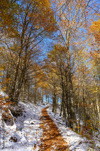 Winter's arrival in the Montseny natural park (Catalonia,Spain)