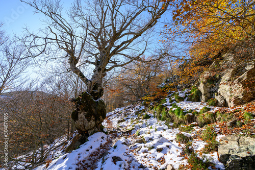 Winter's arrival in the Montseny natural park (Catalonia,Spain)