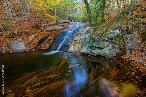 Autumn in the natural park of Montseny ( Catalonia,Spain)