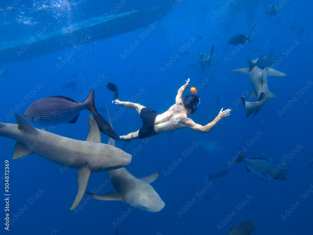 Young man swimming with sharks 