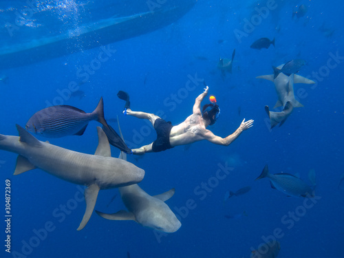 Fototapeta Naklejka Na Ścianę i Meble -  Young man swimming with sharks 