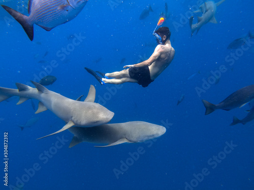 Fototapeta Naklejka Na Ścianę i Meble -  Young man looking at two sharks approaching him