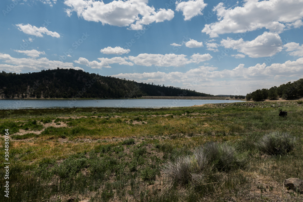 Quemado Lake grass, New Mexico.