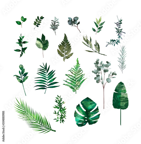 Watercolor modern decorative element set. Eucalyptus round Green leaf Wreath, greenery branches, garland, border, frame, elegant watercolor isolated, good for wedding invitation, card or print