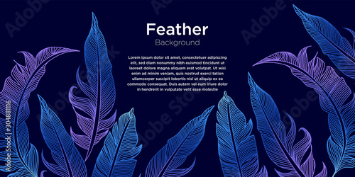 Colorful Feather Illustration Background