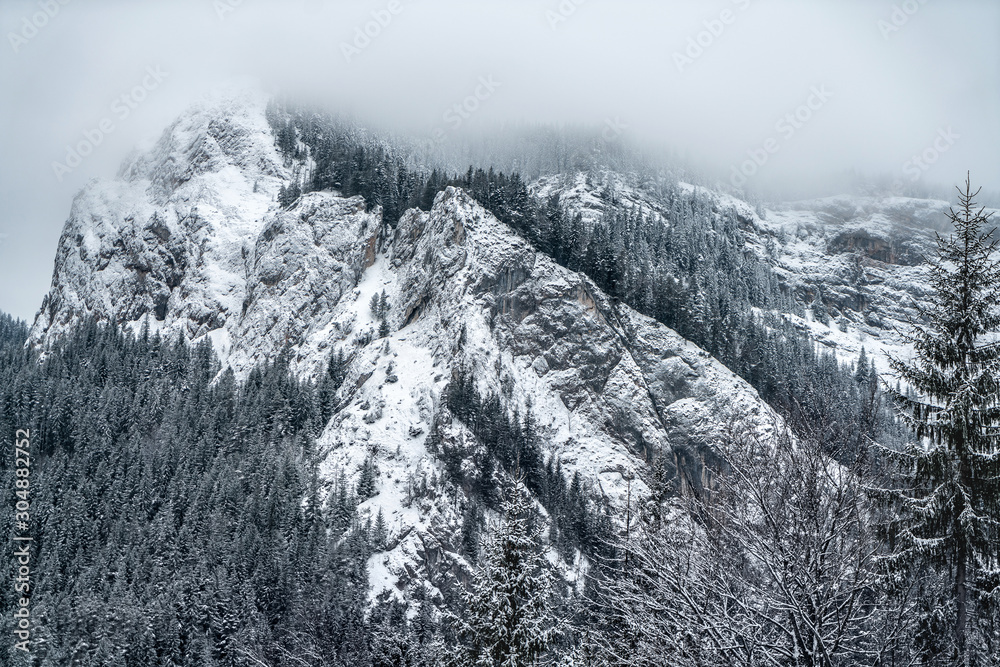 Majestic mountains in winter with white snowy spruces. Wonderful wintry landscape. Amazing view on snowcovered rock mountains. Travel background