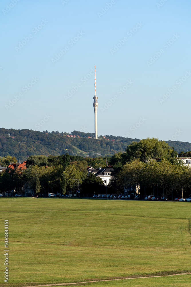 Obraz premium Dresden Elbwiesen sunny late summer day empty copy space television tower
