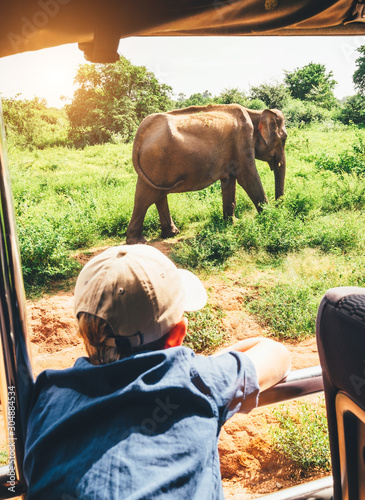 Little tourist boy looking at elephant calf and enjoying his jeep safari activities at National Nature Park Udawalawe in Sri Lanka