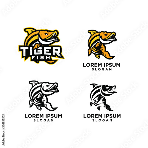 Fototapeta Naklejka Na Ścianę i Meble -  set of tiger fish logo icon design vector illustration