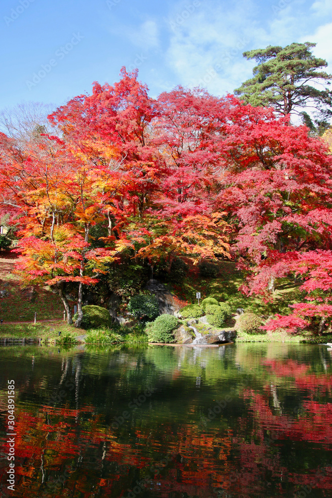 モミジ・秋の霞ヶ城公園（福島県・二本松市）