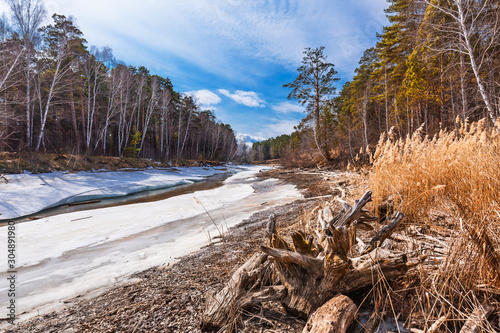 Spring landscape. Siberia