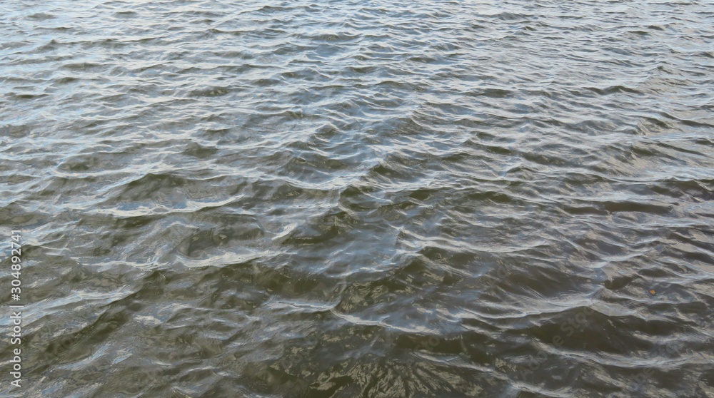 Dark river water surface with soft waves in Florida nature Dark river water surface with soft waves in Florida nature