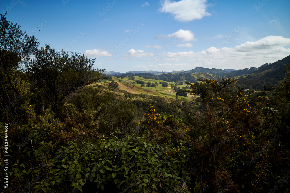 Puhoi Valley landscapes, Auckland, New Zealand Puhoi Valley landscapes, Auckland, New Zealand