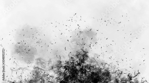 Black smoke on isolated background. Abstract fog texture with embers particles.