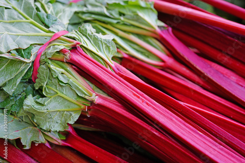 Green and red rhubarb stalks at a farmers market