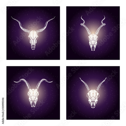 Vector set of four illustrations with hand drawn skulls antelopes and goats on purple abstract background.