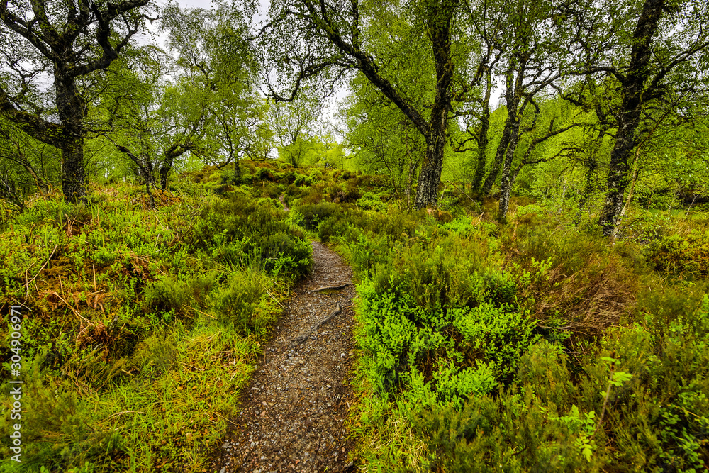 Beautiful scenic landscape of amazing Scotland nature and mountain trail road. Beautiful scenic landscape of amazing Scotland nature and mountain trail road.