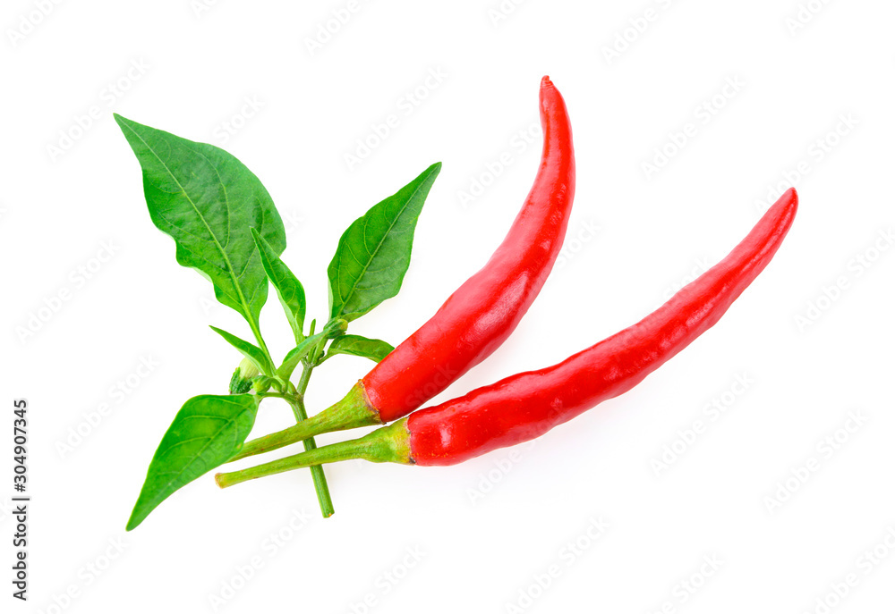 Red chilli with leaf on white background Red chilli with leaf on white background