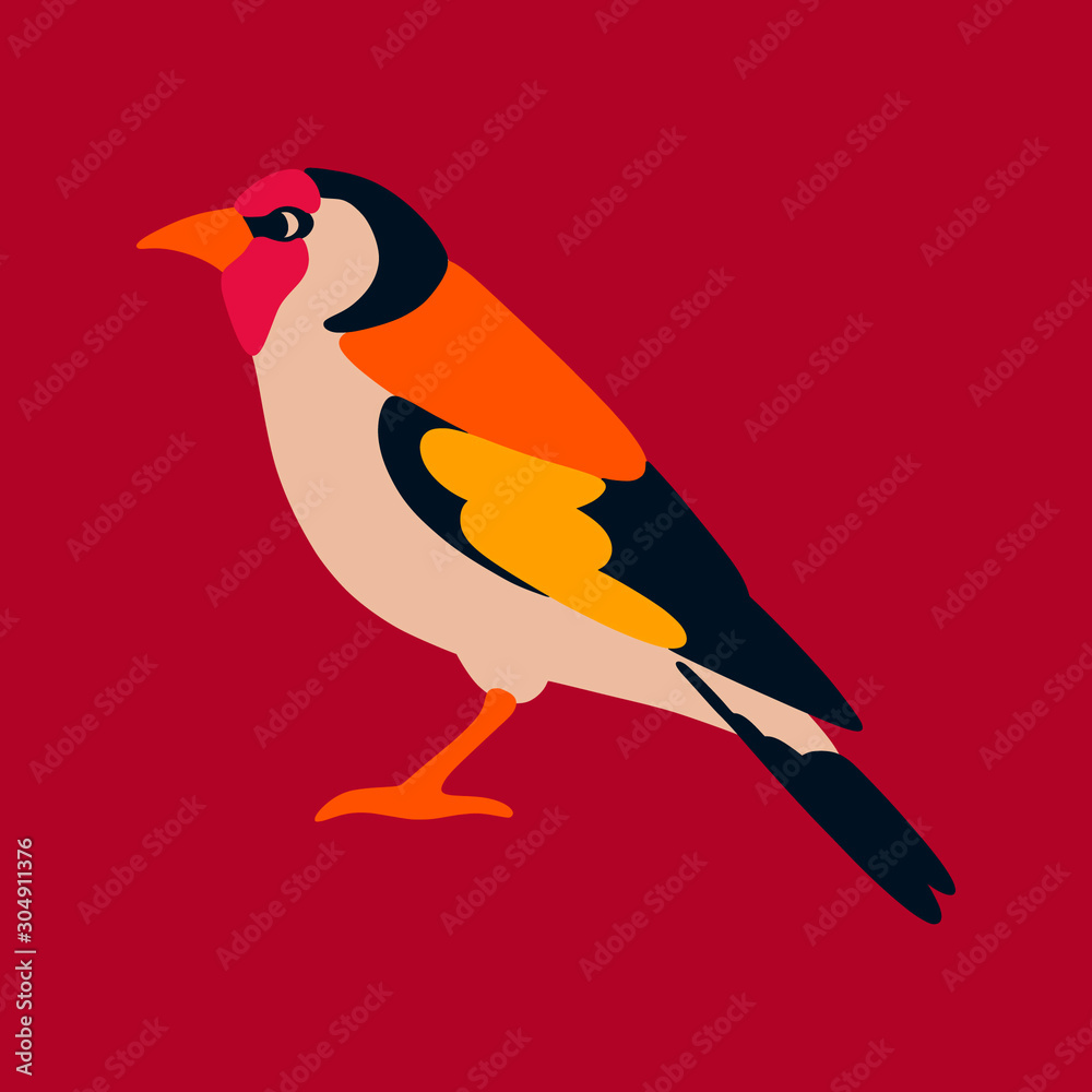 Birds Birds