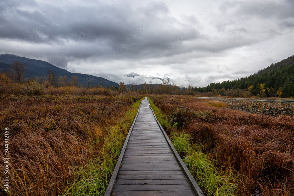 Pemberton, British Columbia, Canada. Beautiful view of a wooden path at One Mile Lake Park during Autumn Season.