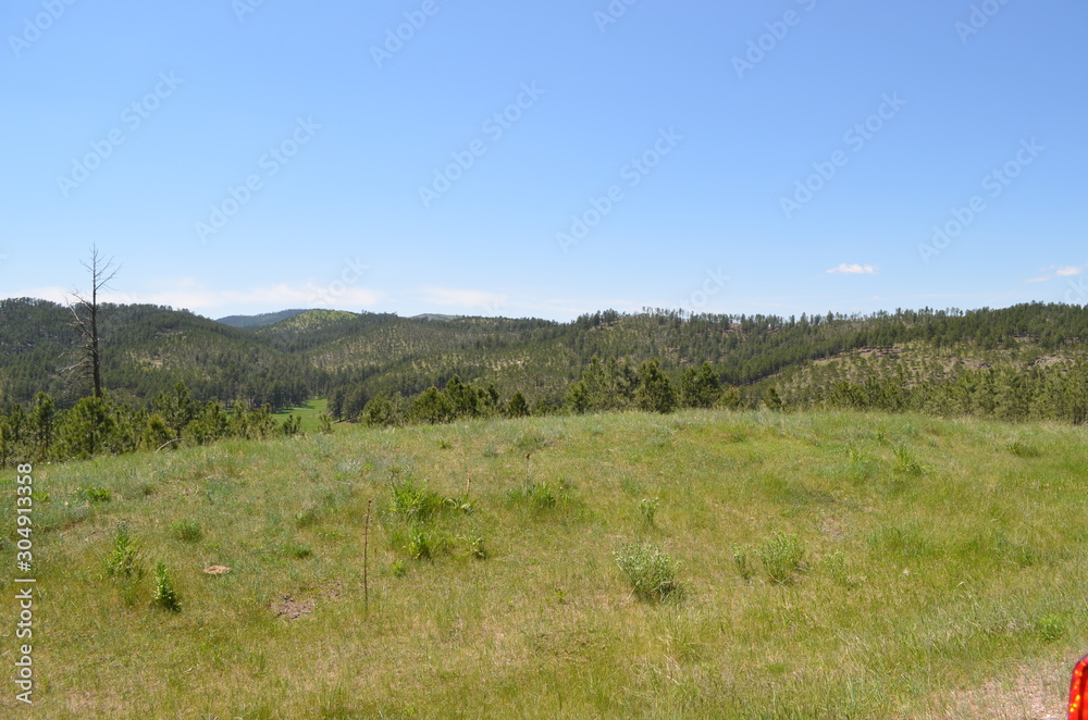 Fototapeta premium Late Spring in South Dakota: Tree-Dotted Black Hills
