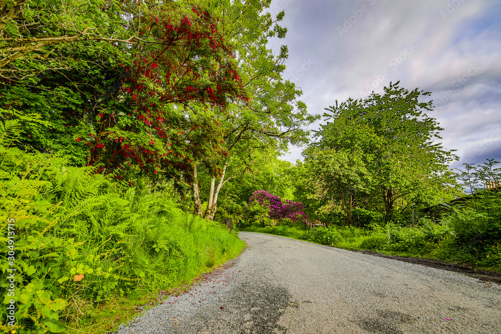 Beautiful scenic landscape of amazing Scotland nature and mountain trail road. Beautiful scenic landscape of amazing Scotland nature and mountain trail road.