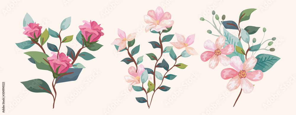 set of flowers with branches and leafs vector illustration design