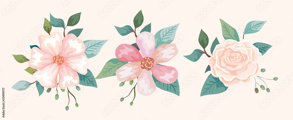 Obraz zestaw kwiatów z gałęziami i liśćmi projektowania ilustracji wektorowych