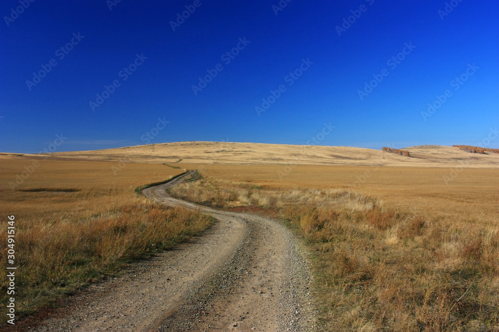 Autumn road in the steppe