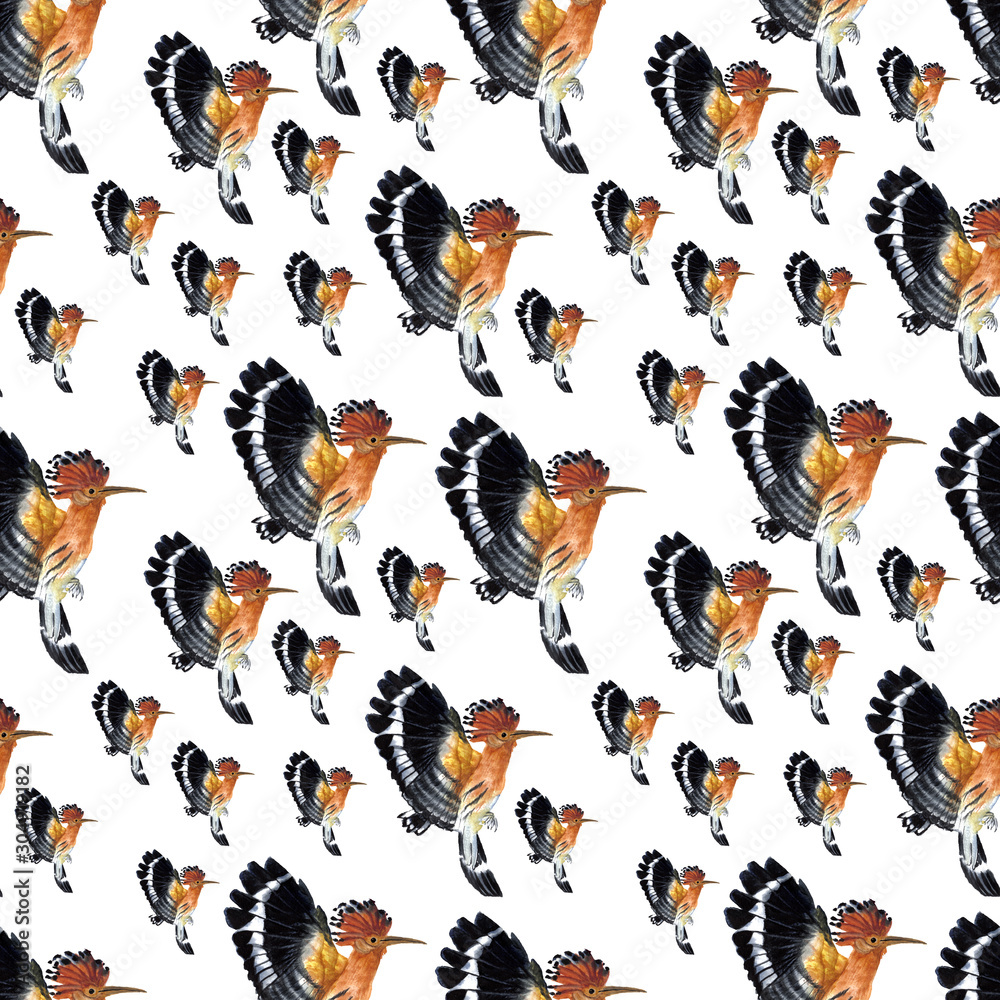 Bird: Eurasian Hoopoe Bird: Eurasian Hoopoe