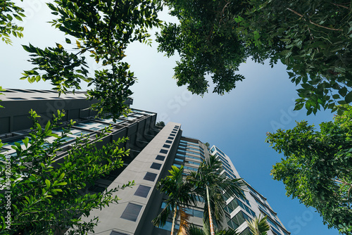 Canvas Print Low angle view tall urban building with tropical leaves