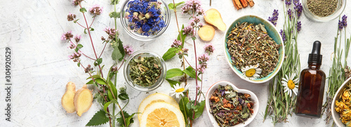 Various kinds of herbal tea photo