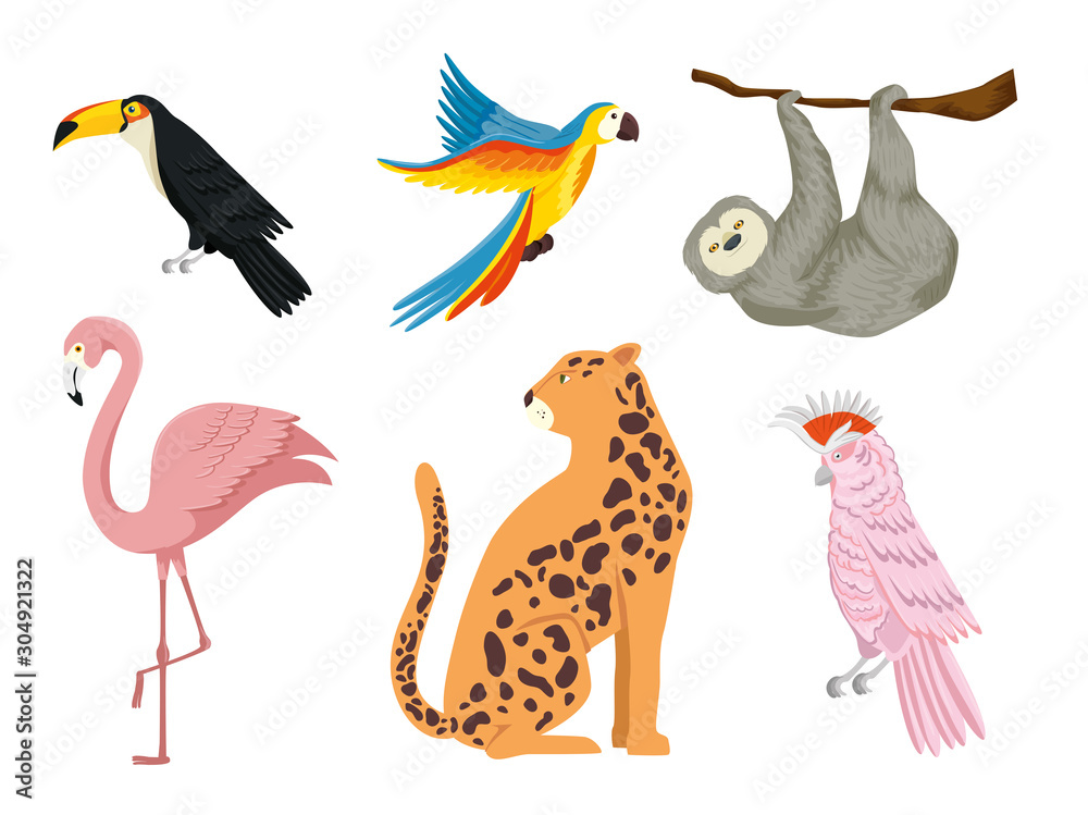 Naklejka premium set of group animals exotics vector illustration design