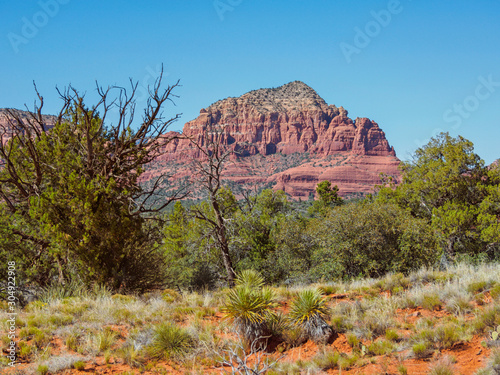 Castle Rock aka Red Butte, Apache name Che hi Chos, with desert flora and scenic southwestern landscape, Sedona, Arizona, USA photo