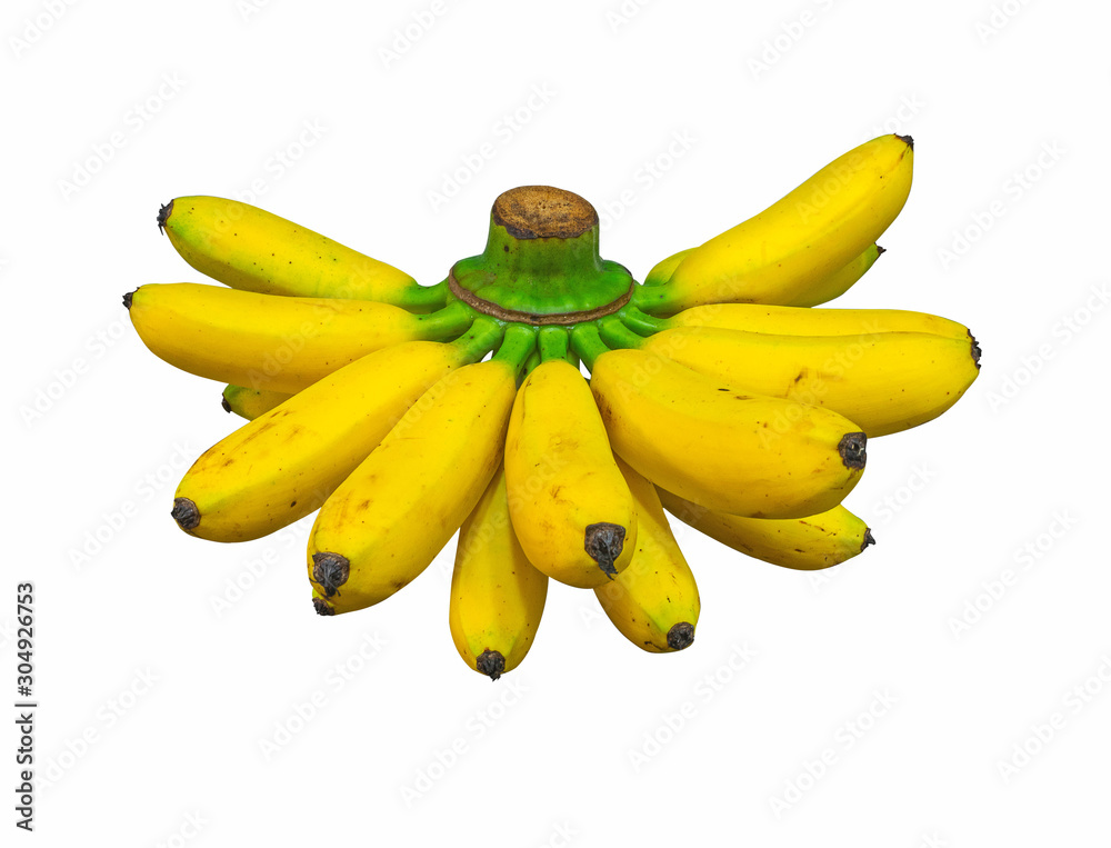 A hand of Banana yellow colour isolated on white background ,Fruit,Top view and close up,Take photo at studio