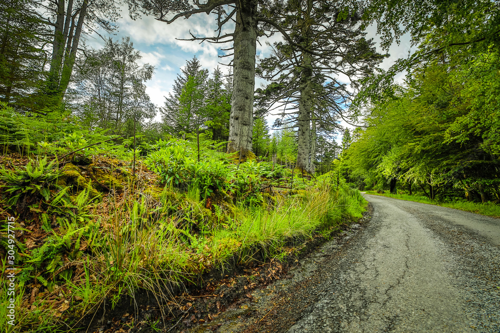 Fototapeta premium Beautiful scenic landscape of amazing Scotland nature and mountain trail road.