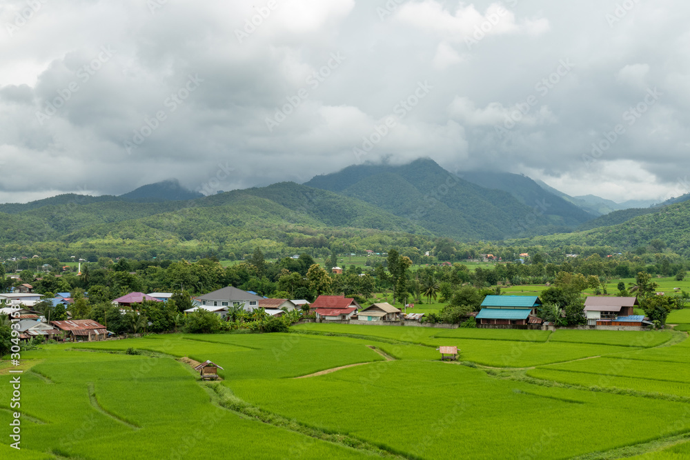 Aerial photograph of rice fields and mountains