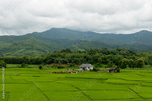 Aerial photograph of rice fields and mountains photo