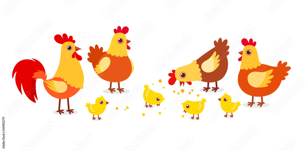 Obraz premium happy cute chicken farm poultry on village