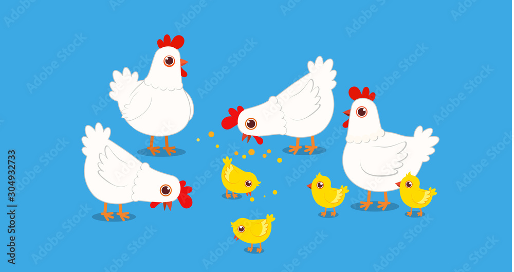 happy cute chicken farm poultry on village