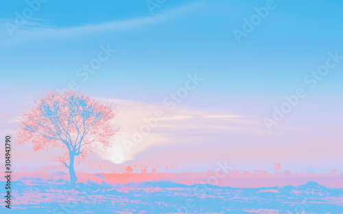view morning of alone tree in meadow with sunrise background, convert colored for illustration texture background.